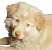 Maxxamillion's Baby Photo